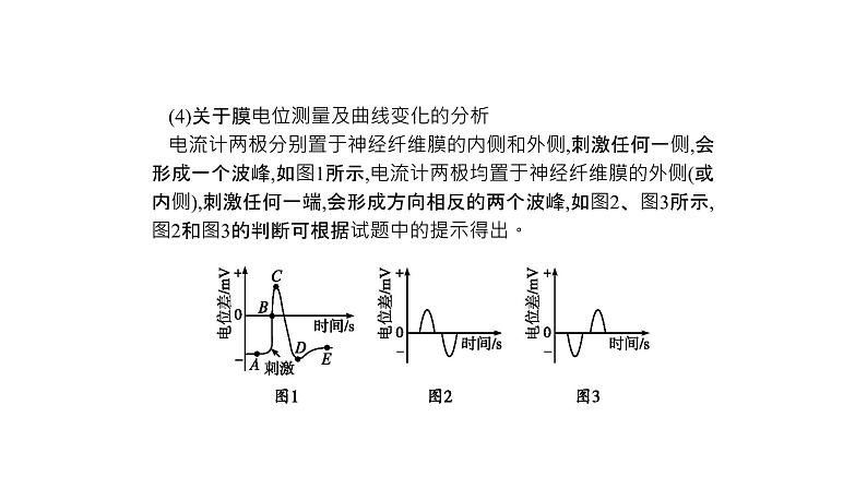 高考生物一轮复习微专题5神经调节的研究方法及实验探究课件05