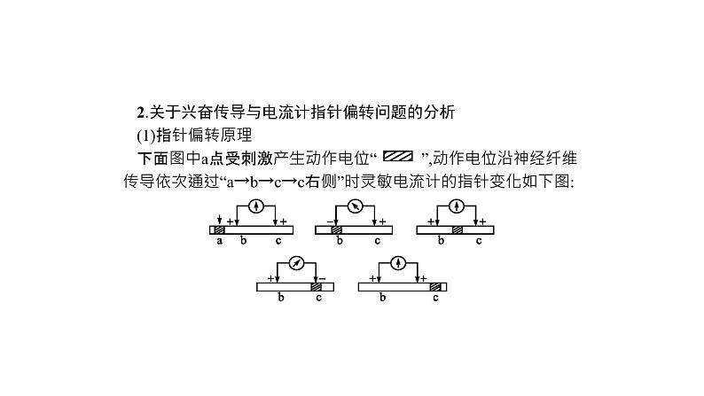 高考生物一轮复习微专题5神经调节的研究方法及实验探究课件07