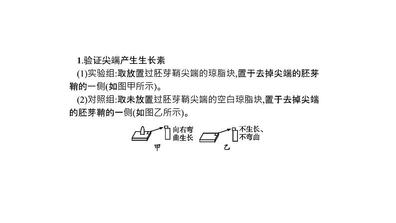 高考生物一轮复习微专题6透析与植物激素相关的实验课件02