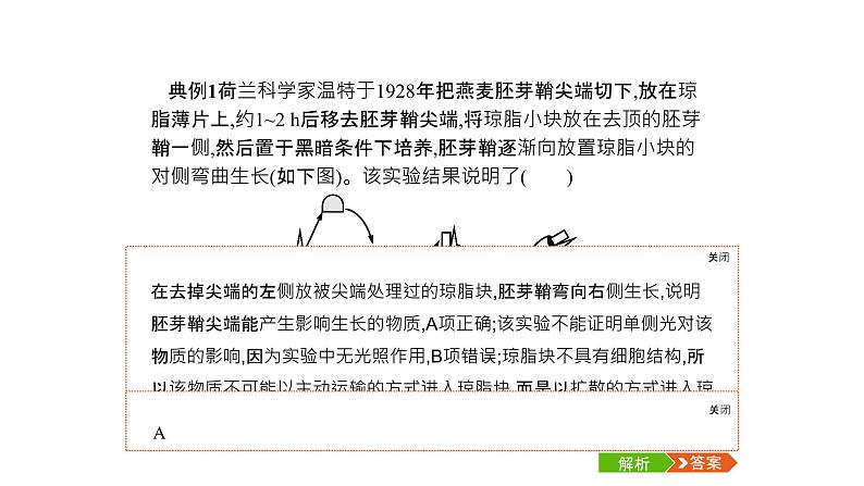 高考生物一轮复习微专题6透析与植物激素相关的实验课件03