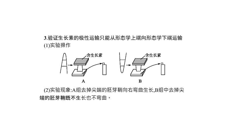 高考生物一轮复习微专题6透析与植物激素相关的实验课件06