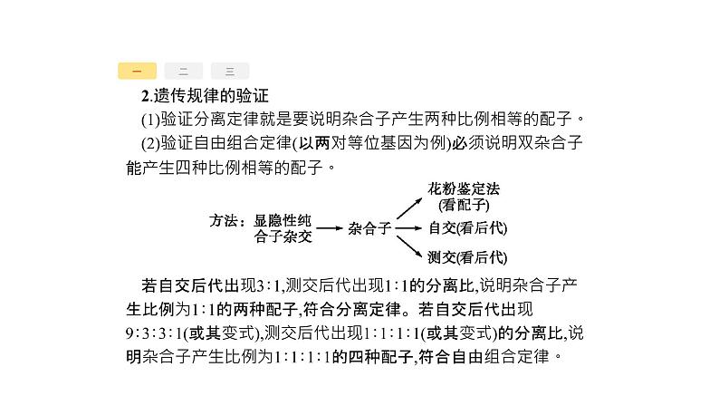 高考生物一轮复习高分突破2遗传变异类课件第3页