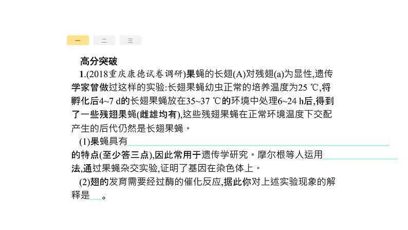 高考生物一轮复习高分突破2遗传变异类课件第6页