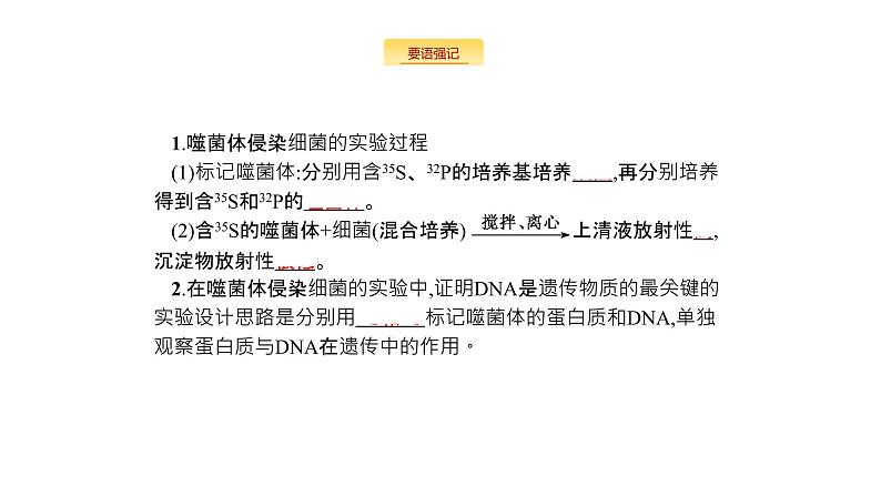 高考生物一轮复习遗传的分子基础课件第2页