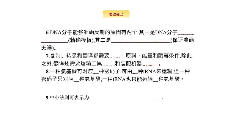 高考生物一轮复习遗传的分子基础课件第4页