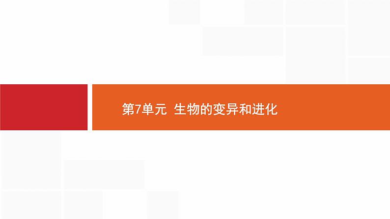 高考生物一轮复习生物的变异和进化课件01