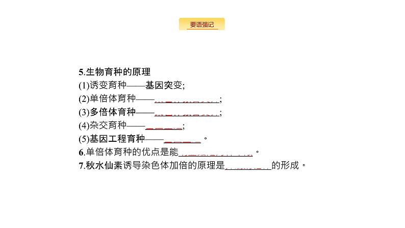 高考生物一轮复习生物的变异和进化课件05