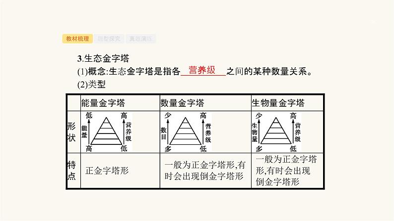 高考生物一轮复习第28讲生态系统的营养结构、生产量和生物量课件第7页