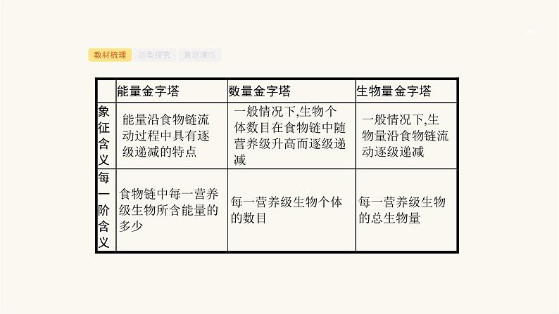 高考生物一轮复习第28讲生态系统的营养结构、生产量和生物量课件第8页