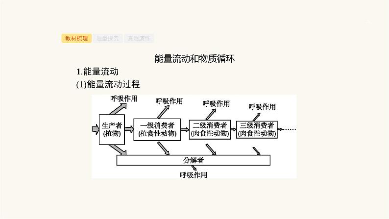 高考生物一轮复习第29讲能量流动和物质循环课件03