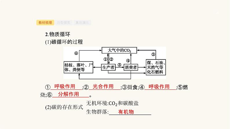 高考生物一轮复习第29讲能量流动和物质循环课件06