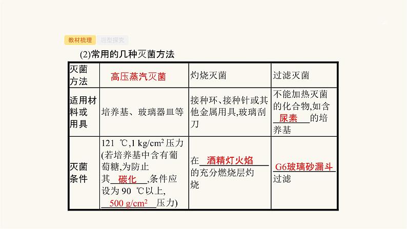 高考生物一轮复习第31讲微生物的利用课件第6页