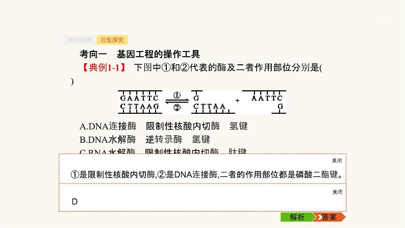 高考生物一轮复习第35讲基因工程课件07