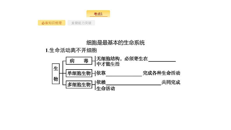 高考生物一轮复习第1讲走近细胞课件05