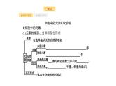 高考生物一轮复习第2讲细胞中的元素和化合物细胞中的无机物课件