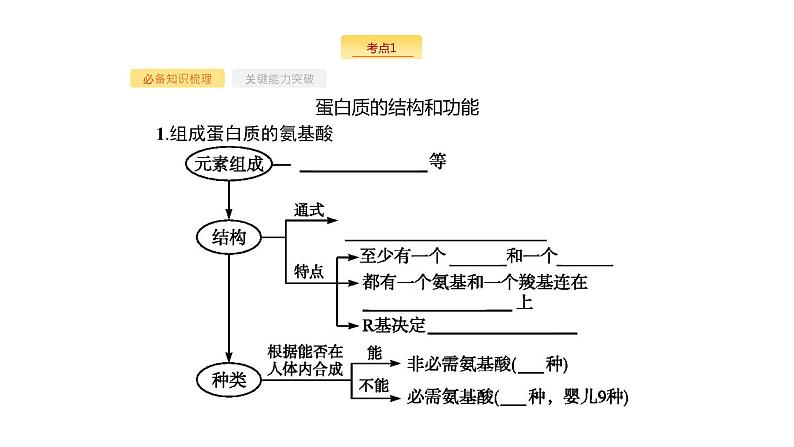 高考生物一轮复习第3讲生命活动的主要承担者蛋白质课件第3页