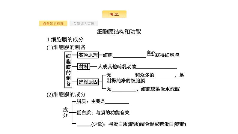 高考生物一轮复习第5讲细胞膜和细胞核（含生物膜的流动镶嵌模型）课件第4页