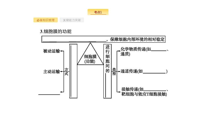 高考生物一轮复习第5讲细胞膜和细胞核（含生物膜的流动镶嵌模型）课件第7页