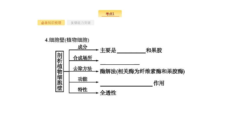 高考生物一轮复习第5讲细胞膜和细胞核（含生物膜的流动镶嵌模型）课件第8页