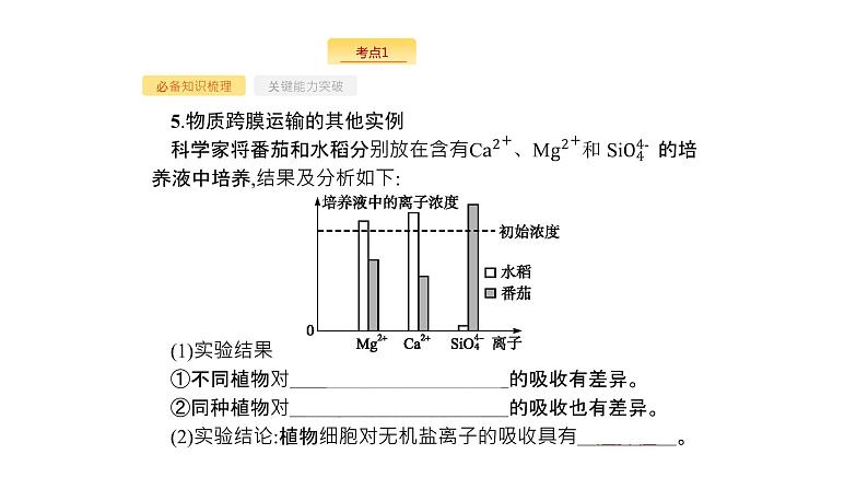 高考生物一轮复习第7讲物质跨膜运输的实例物质跨膜运输的方式课件第7页