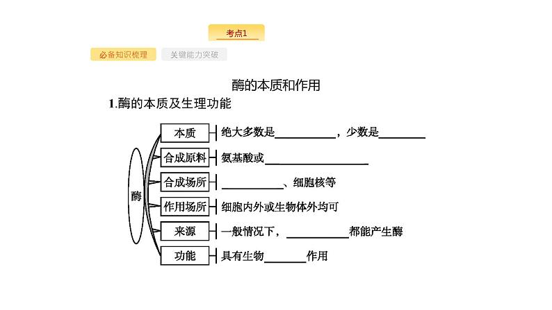 高考生物一轮复习第8讲降低化学反应活化能的酶课件第4页