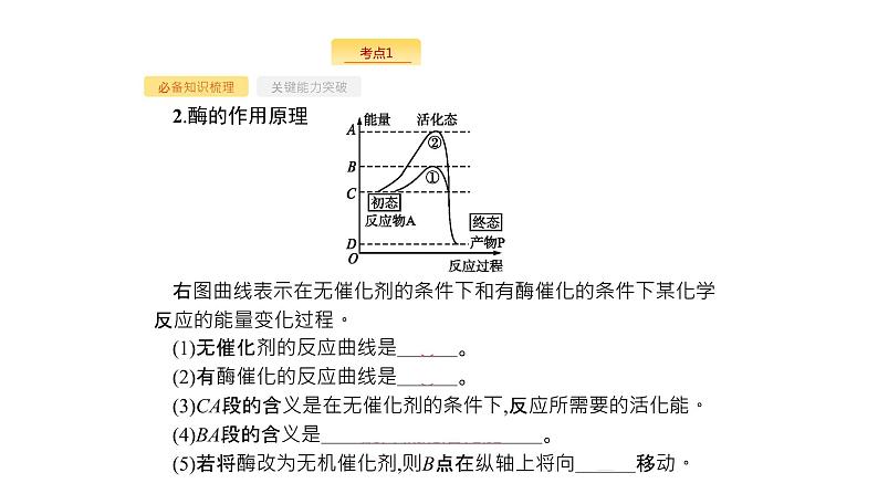 高考生物一轮复习第8讲降低化学反应活化能的酶课件第5页