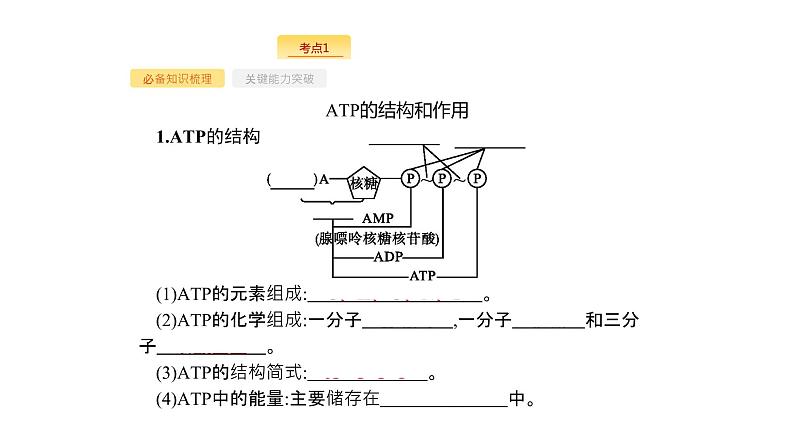 高考生物一轮复习第9讲atp与细胞呼吸课件03