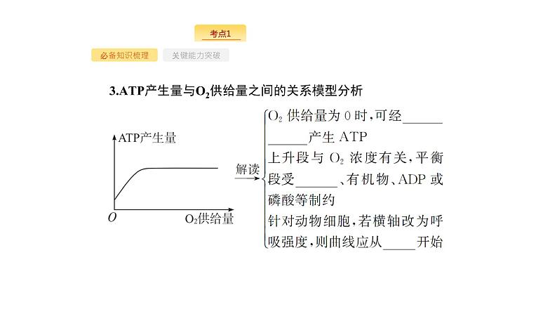 高考生物一轮复习第9讲atp与细胞呼吸课件06