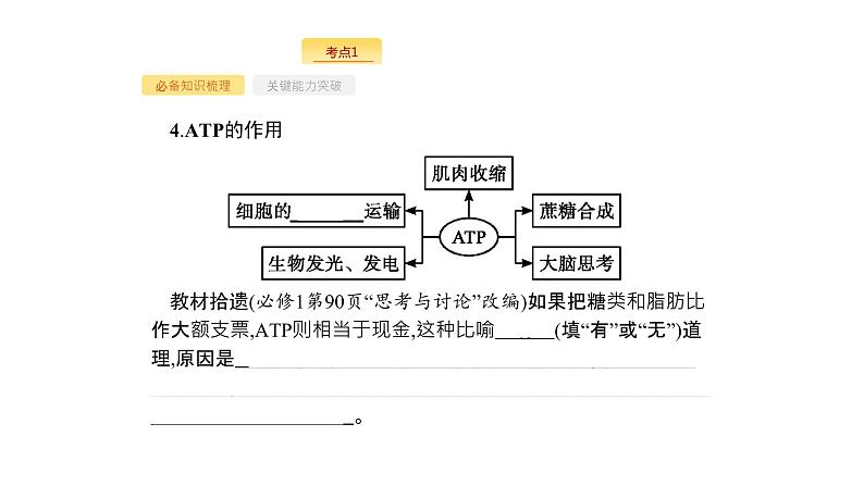 高考生物一轮复习第9讲atp与细胞呼吸课件07