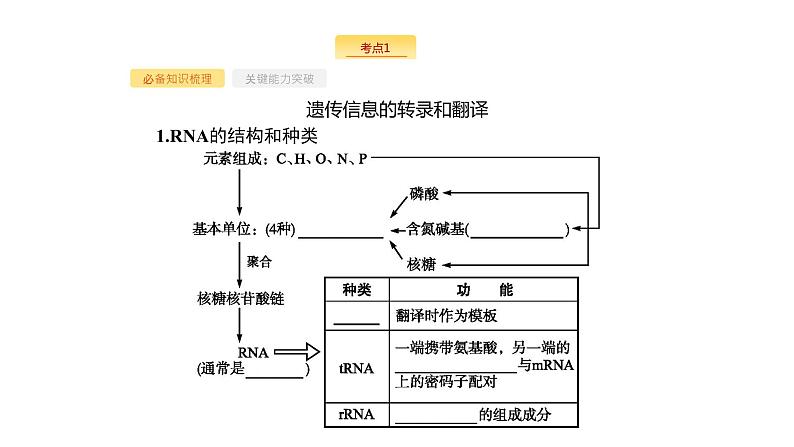 高考生物一轮复习第17讲基因的表达课件03