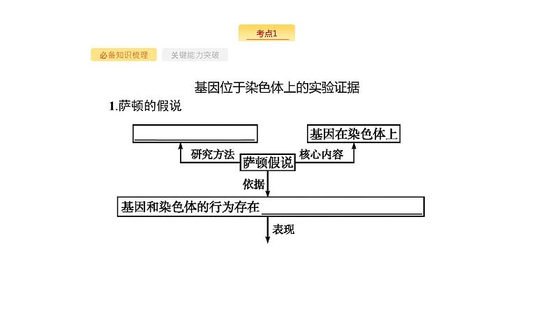 高考生物一轮复习第20讲基因在染色体上和伴性遗传课件第3页