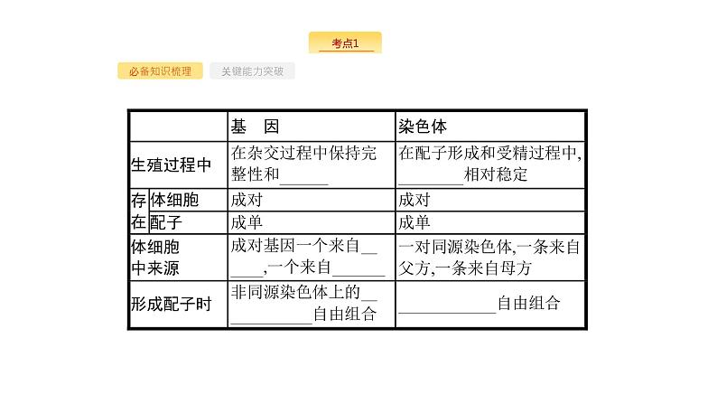 高考生物一轮复习第20讲基因在染色体上和伴性遗传课件第4页