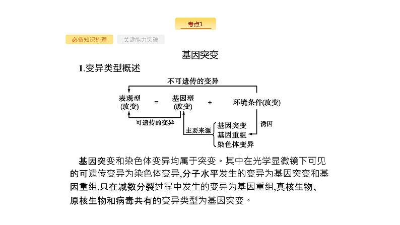 高考生物一轮复习第21讲基因突变和基因重组课件第4页