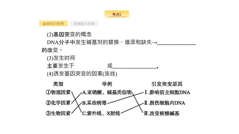 高考生物一轮复习第21讲基因突变和基因重组课件第6页