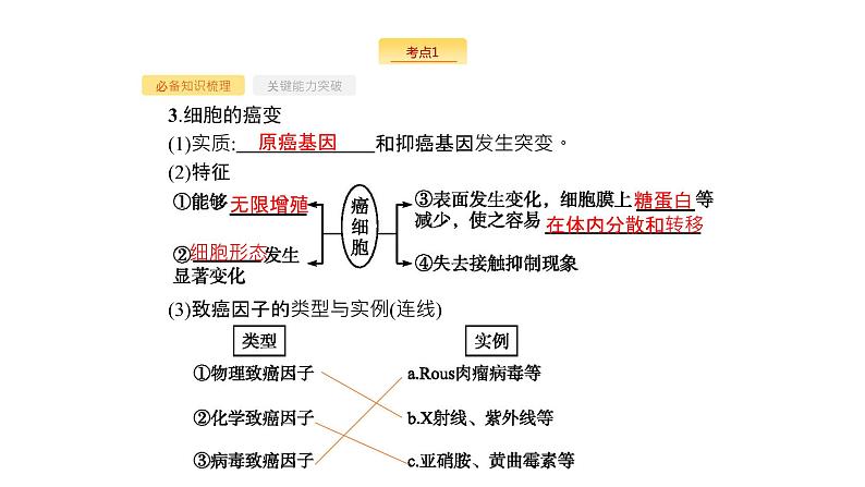 高考生物一轮复习第21讲基因突变和基因重组课件第8页