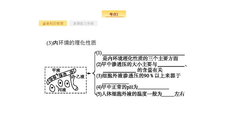 高考生物一轮复习第25讲人体的内环境稳态及实例课件第7页