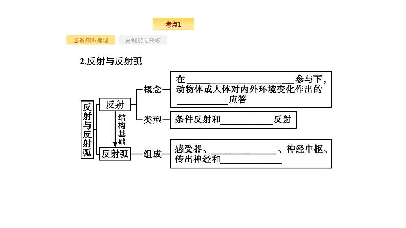 高考生物一轮复习第26讲通过神经系统的调节课件04