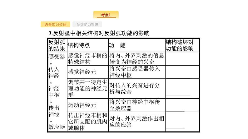 高考生物一轮复习第26讲通过神经系统的调节课件05