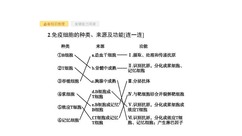 高考生物一轮复习第28讲免疫调节课件第4页