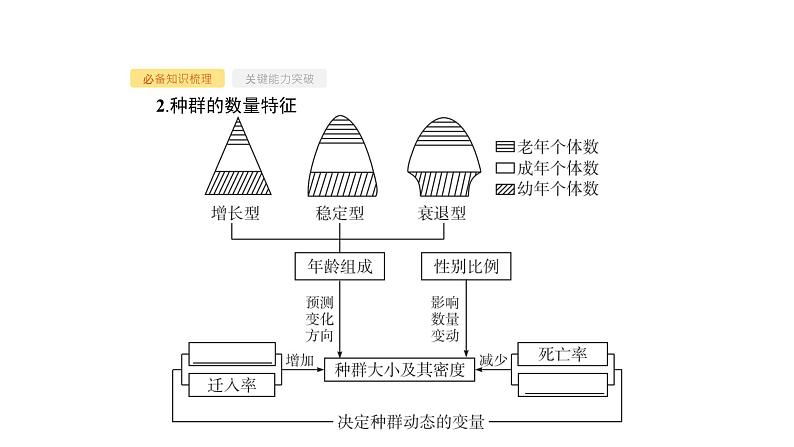 高考生物一轮复习第30讲种群的特征种群数量的变化课件05