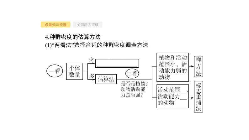 高考生物一轮复习第30讲种群的特征种群数量的变化课件08