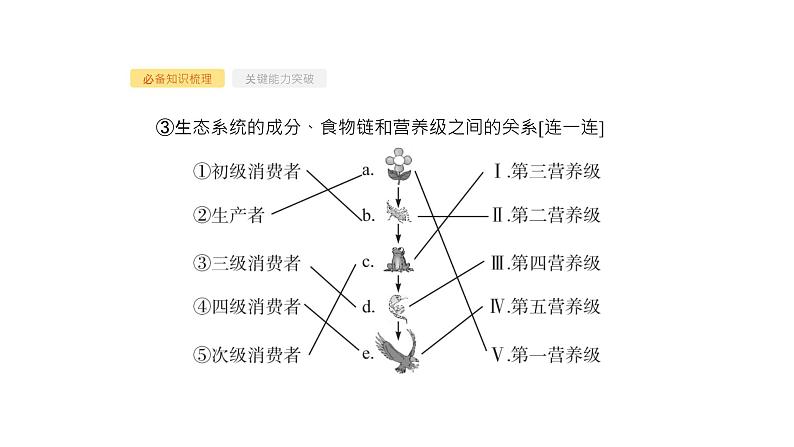 高考生物一轮复习第32讲生态系统的结构生态系统的能量流动课件第7页