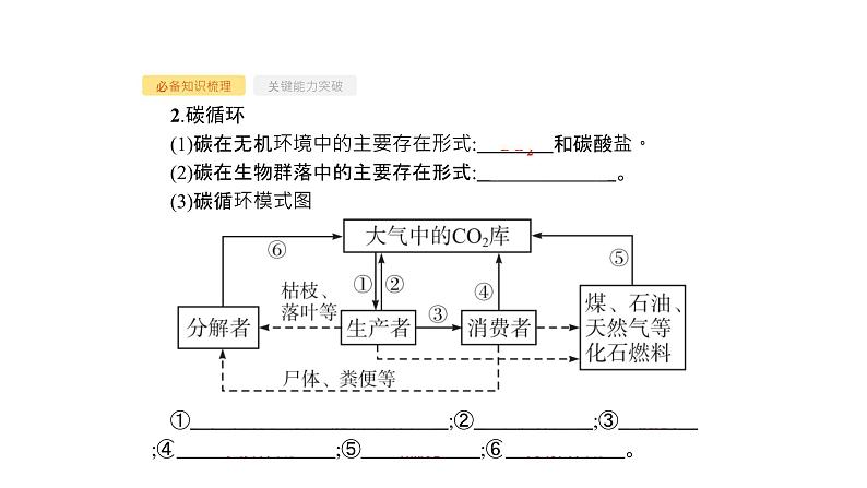 高考生物一轮复习第33讲生态系统的物质循环、信息传递及其稳定性课件04