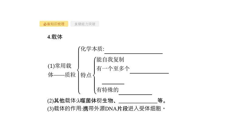 高考生物一轮复习第36讲基因工程课件06