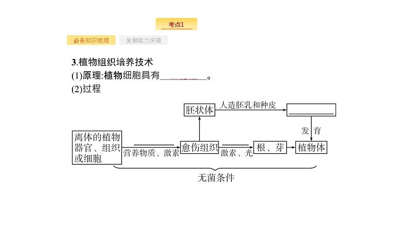 高考生物一轮复习第37讲细胞工程课件04