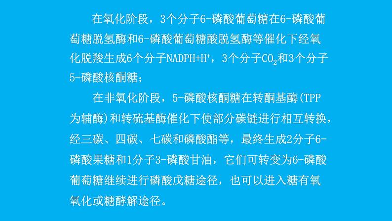 高中生物竞赛磷酸戊糖途径课件第3页