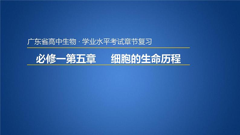 广东省普通高中生物学业水平考试 学考复习课件——第六章细胞的生命历程第1页