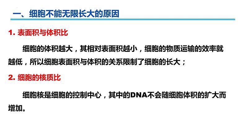 广东省普通高中生物学业水平考试 学考复习课件——第六章细胞的生命历程第3页