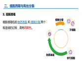 广东省普通高中生物学业水平考试 学考复习课件——第六章细胞的生命历程