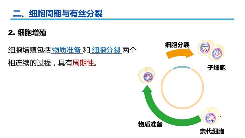 广东省普通高中生物学业水平考试 学考复习课件——第六章细胞的生命历程第5页